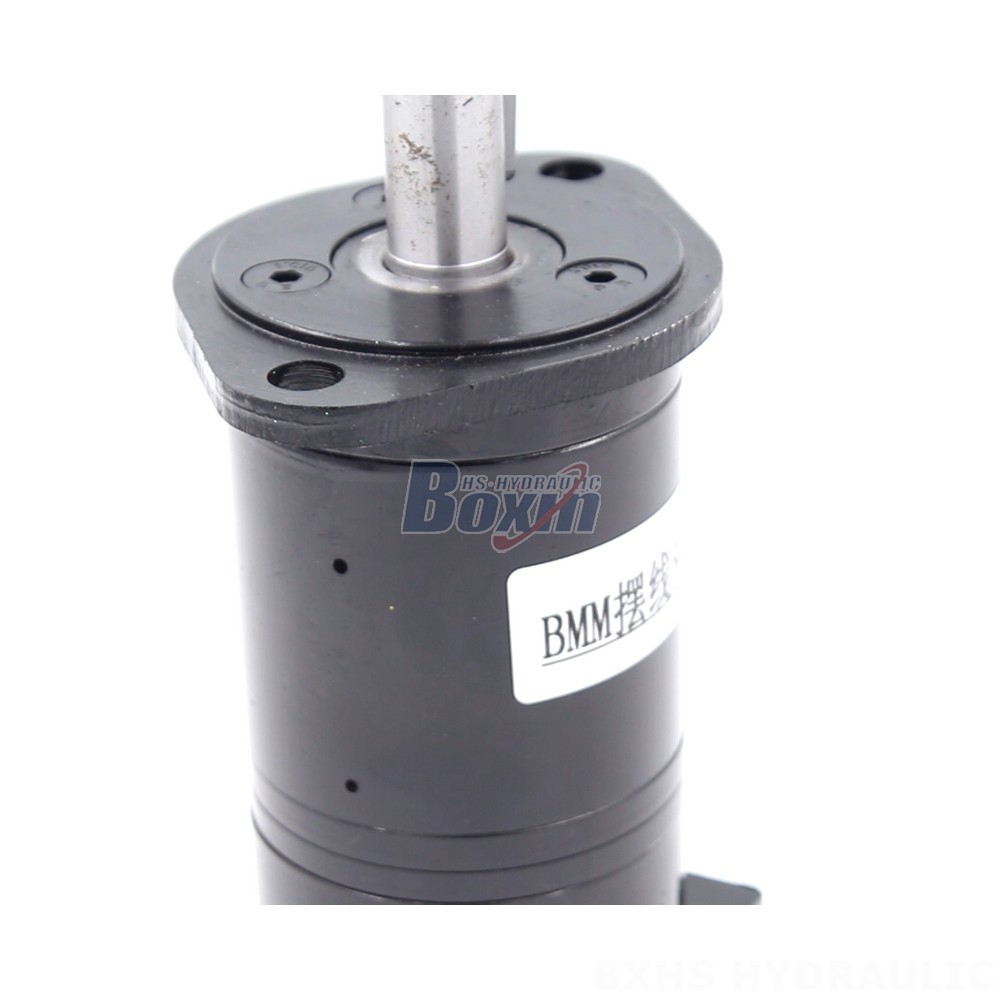 Reliable BMM Cycloid Hydraulic Motor 8 cc/r 14 Lpm - Direct from Manufacturer detail image